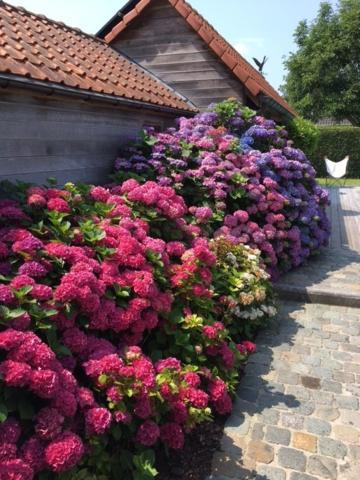 Flemish Cottage Oostkamp Eksteriør billede